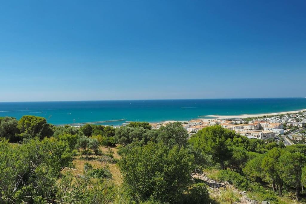Grand T2 Esprit Loft Coeur De Apartment Sete
